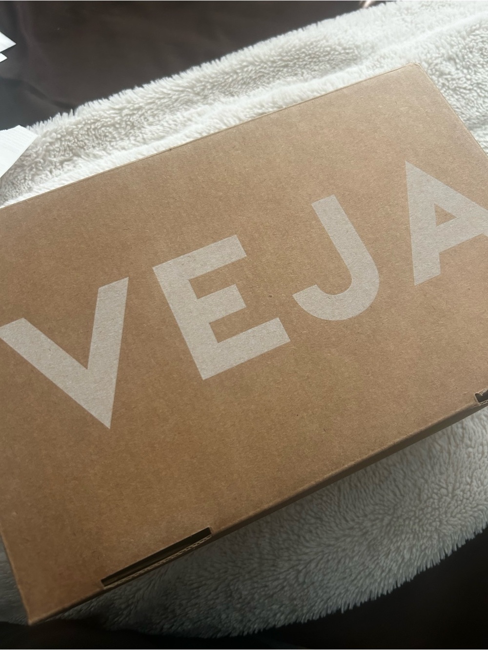 Veja Shoe Box Label - White and Black on Brown